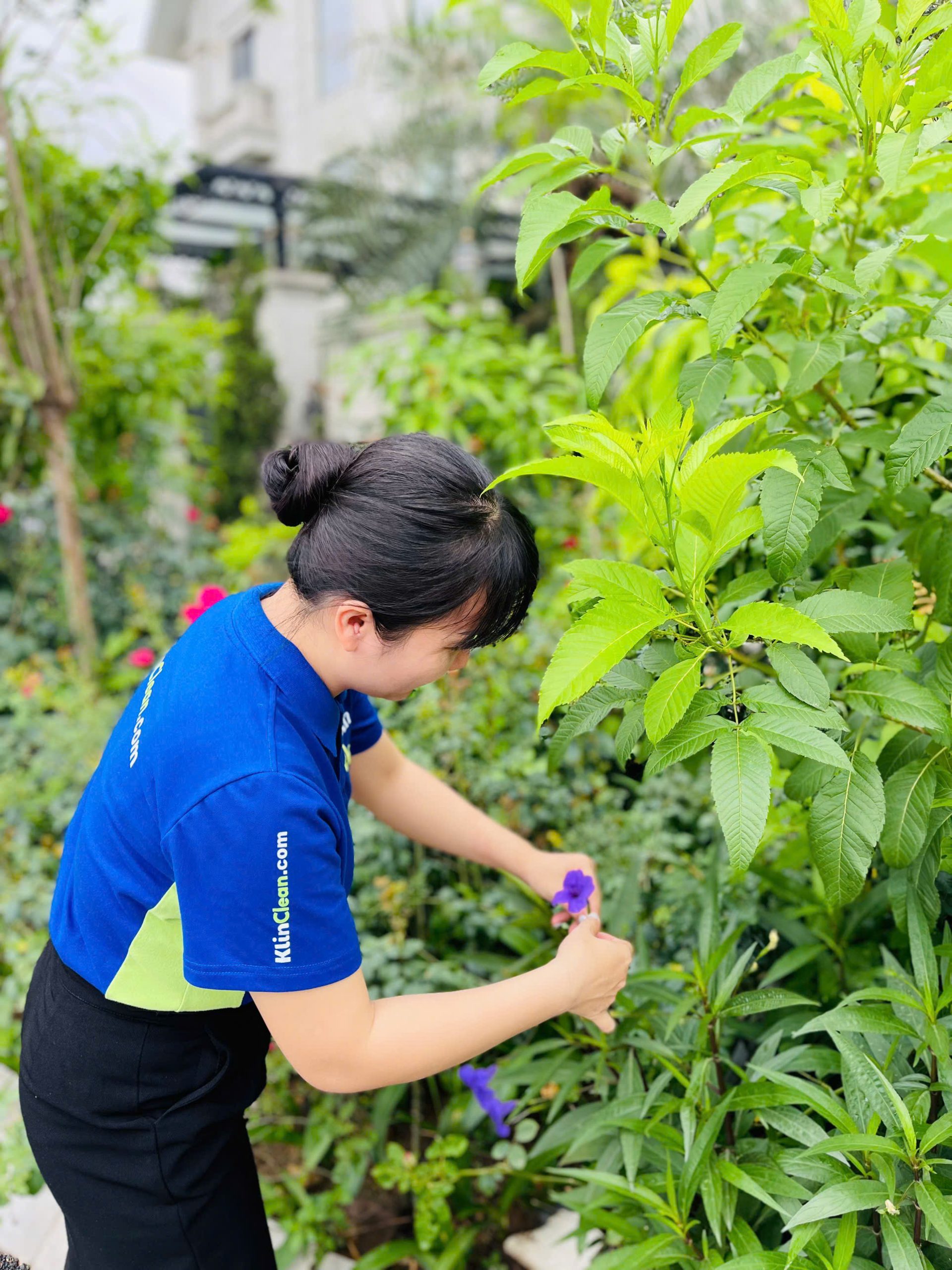 Vệ sinh biệt thự cao cấp