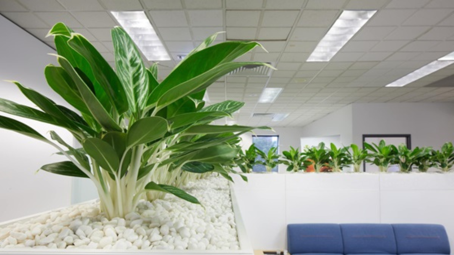 vệ sinh văn phòng Hà Nội